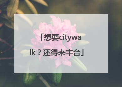 想要citywalk？还得来丰台