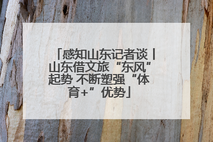 感知山东记者谈丨山东借文旅“东风”起势 不断塑强“体育+”优势