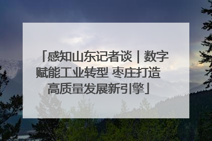 感知山东记者谈｜数字赋能工业转型 枣庄打造高质量发展新引擎