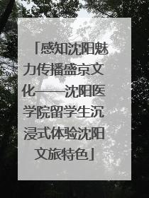 感知沈阳魅力传播盛京文化——沈阳医学院留学生沉浸式体验沈阳文旅特色