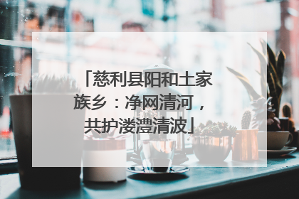 慈利县阳和土家族乡：净网清河，共护溇澧清波