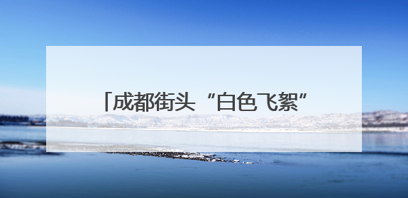 成都街头“白色飞絮”真相：它是朴绵叶蚜！