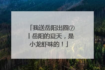 我送岳阳出圈⑦丨岳阳的夏天，是小龙虾味的！