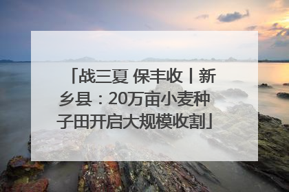 战三夏 保丰收丨新乡县：20万亩小麦种子田开启大规模收割