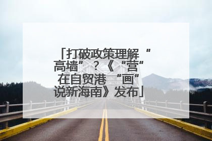 打破政策理解“高墙”？《“营”在自贸港 “画”说新海南》发布