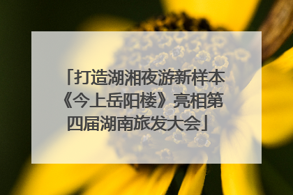 打造湖湘夜游新样本《今上岳阳楼》亮相第四届湖南旅发大会