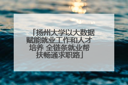 扬州大学以大数据赋能就业工作和人才培养 全链条就业帮扶畅通求职路