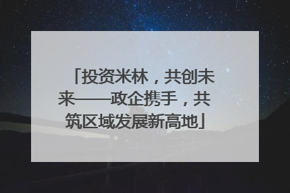 投资米林，共创未来——政企携手，共筑区域发展新高地