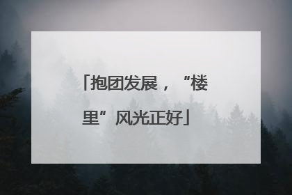 抱团发展，“楼里”风光正好