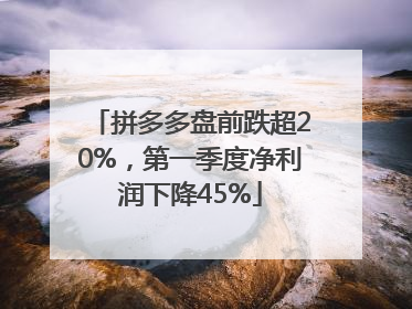 拼多多盘前跌超20%，第一季度净利润下降45%