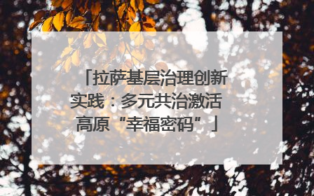 拉萨基层治理创新实践：多元共治激活高原“幸福密码”