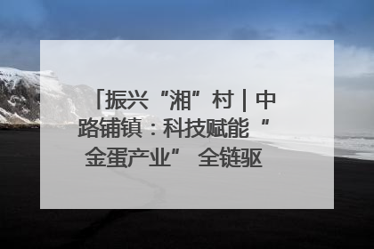 振兴“湘”村｜中路铺镇：科技赋能“金蛋产业” 全链驱动乡村振兴