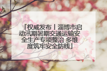权威发布丨淄博市启动汛期暑期交通运输安全生产专项整治 多维度筑牢安全防线