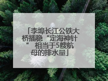 李埠长江公铁大桥插稳“定海神针” 相当于5艘航母的排水量