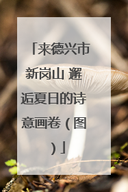 来德兴市新岗山 邂逅夏日的诗意画卷（图）