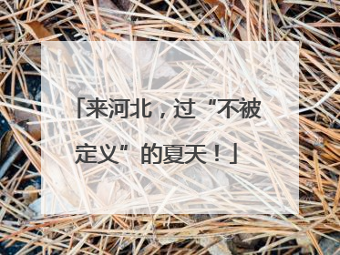 来河北，过“不被定义”的夏天！