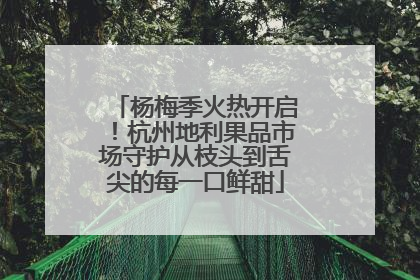 杨梅季火热开启！杭州地利果品市场守护从枝头到舌尖的每一口鲜甜