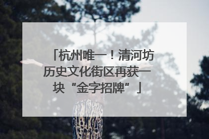 杭州唯一！清河坊历史文化街区再获一块“金字招牌”