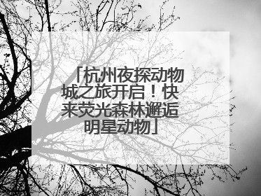 杭州夜探动物城之旅开启！快来荧光森林邂逅明星动物