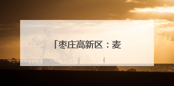 枣庄高新区：麦浪千重收割忙 多措并举保丰收