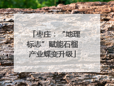 枣庄：“地理标志”赋能石榴产业蝶变升级