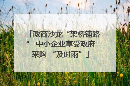 政商沙龙“架桥铺路” 中小企业享受政府采购 “及时雨”