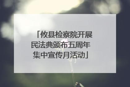 攸县检察院开展民法典颁布五周年集中宣传月活动