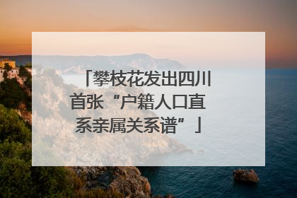 攀枝花发出四川首张“户籍人口直系亲属关系谱”