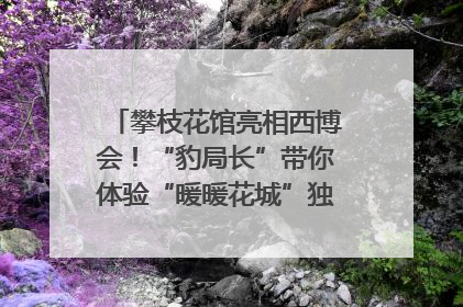 攀枝花馆亮相西博会！“豹局长”带你体验“暖暖花城”独特魅力｜西博视界