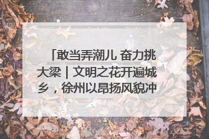 敢当弄潮儿 奋力挑大梁｜文明之花开遍城乡，徐州以昂扬风貌冲刺“万亿之城”