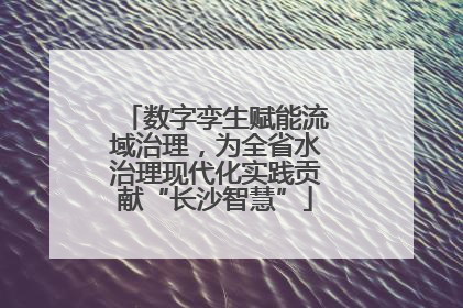 数字孪生赋能流域治理，为全省水治理现代化实践贡献“长沙智慧”