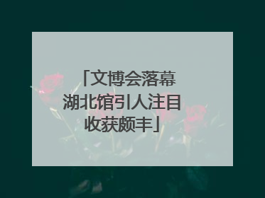 文博会落幕 湖北馆引人注目收获颇丰