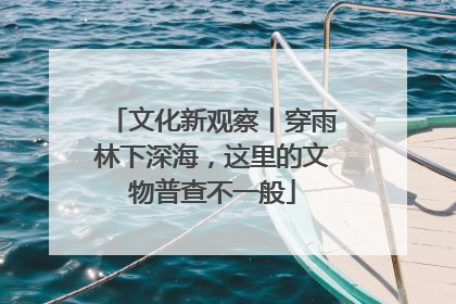 文化新观察丨穿雨林下深海，这里的文物普查不一般