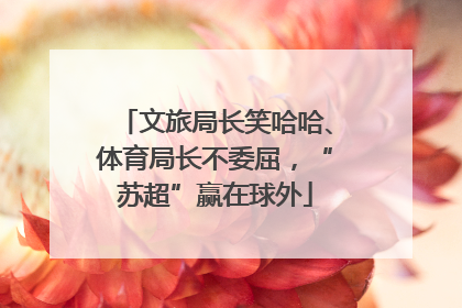 文旅局长笑哈哈、体育局长不委屈，“苏超”赢在球外