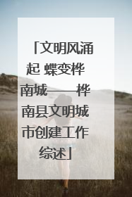 文明风涌起 蝶变桦南城——桦南县文明城市创建工作综述