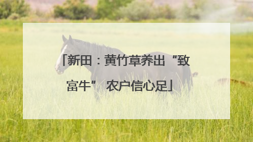 新田：黄竹草养出“致富牛” 农户信心足