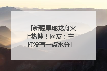 新疆旱地龙舟火上热搜！网友：主打没有一点水分