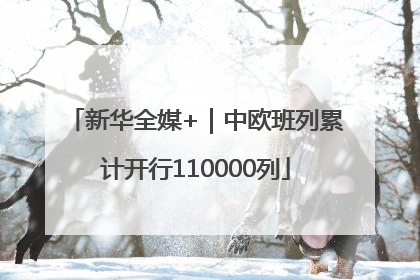 新华全媒+｜中欧班列累计开行110000列