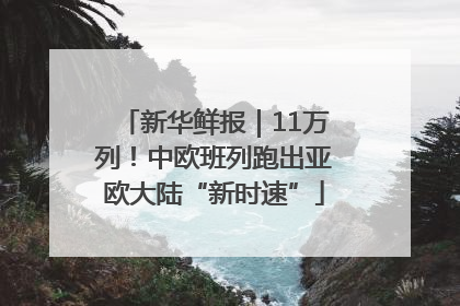 新华鲜报｜11万列！中欧班列跑出亚欧大陆“新时速”