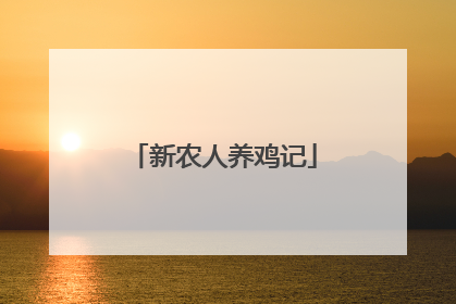 新农人养鸡记