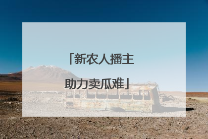 新农人播主 助力卖瓜难