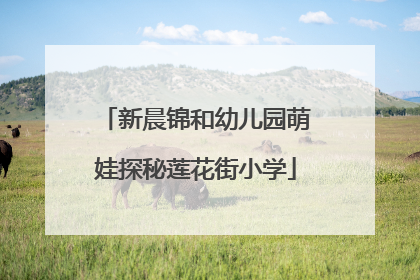 新晨锦和幼儿园萌娃探秘莲花街小学