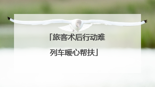 旅客术后行动难 列车暖心帮扶