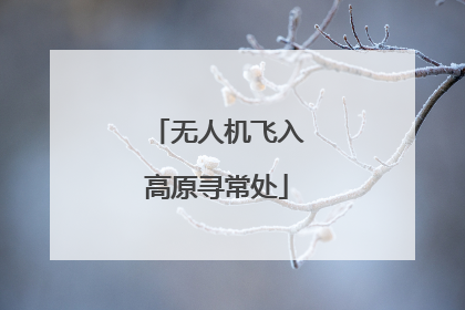 无人机飞入高原寻常处