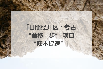 日照经开区：考古“前移一步” 项目“降本提速”