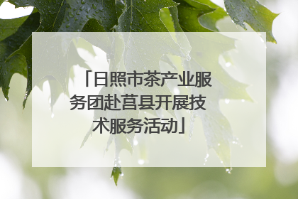 日照市茶产业服务团赴莒县开展技术服务活动
