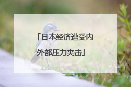 日本经济遭受内外部压力夹击