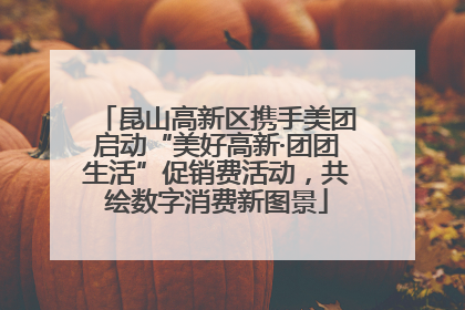昆山高新区携手美团启动“美好高新·团团生活”促销费活动，共绘数字消费新图景
