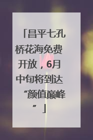 昌平七孔桥花海免费开放，6月中旬将到达“颜值巅峰”