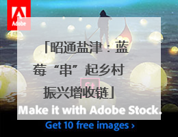 昭通盐津：蓝莓“串”起乡村振兴增收链